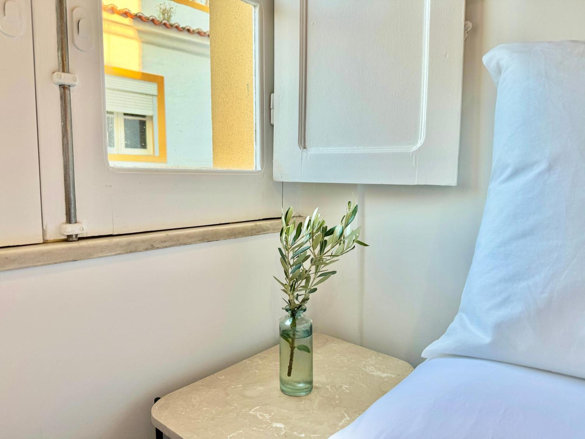 에보라 Private Alentejo House With A Terrace 빌라 외부 사진